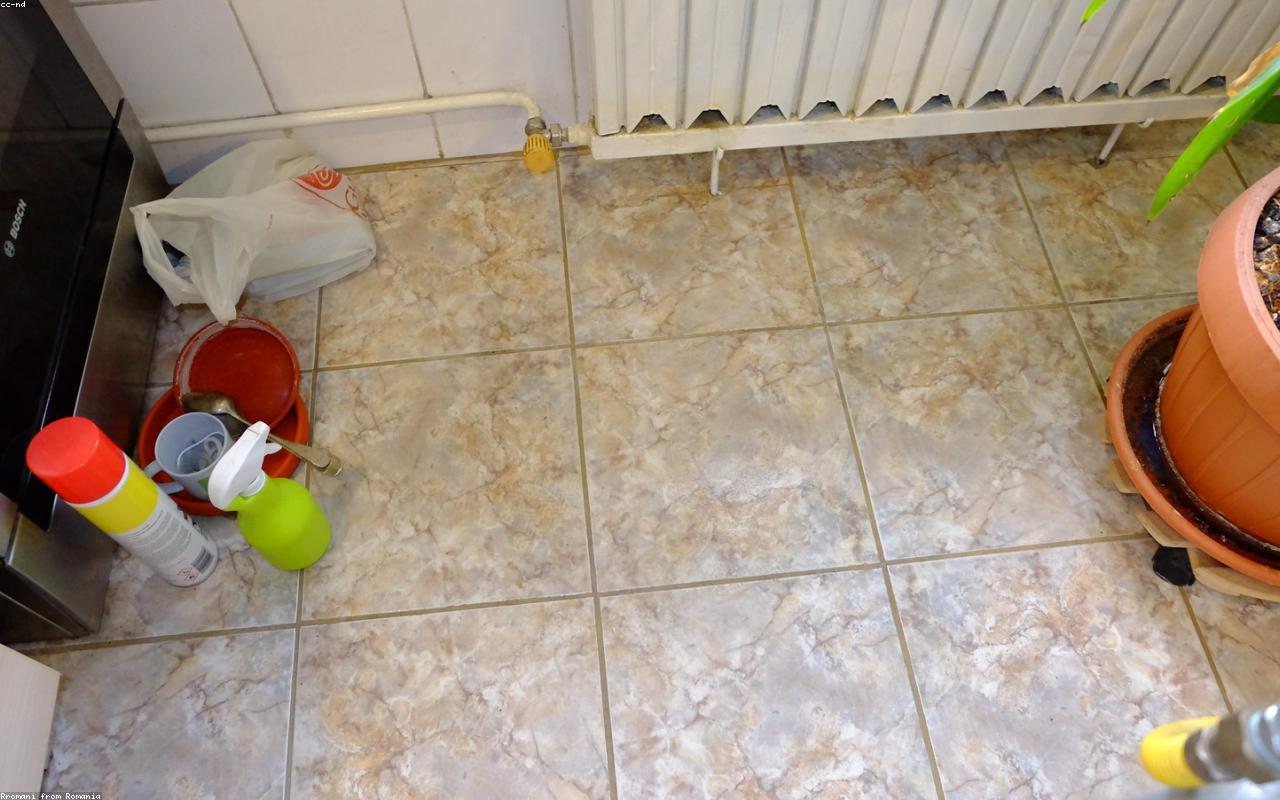 Regular home cleaning