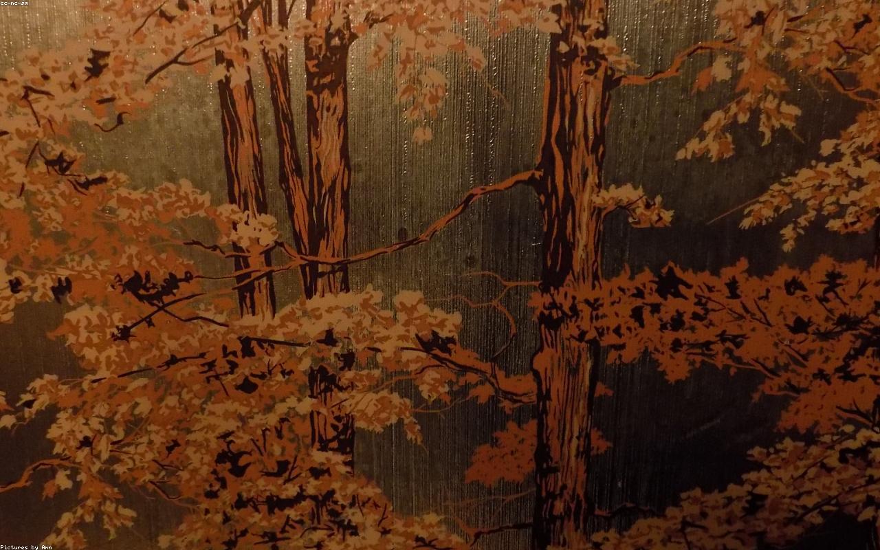 Move in move out cleaning